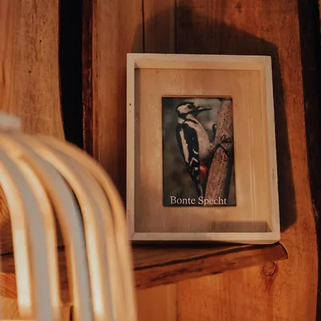 Hoeve Twente - De Bonte Specht Chalet