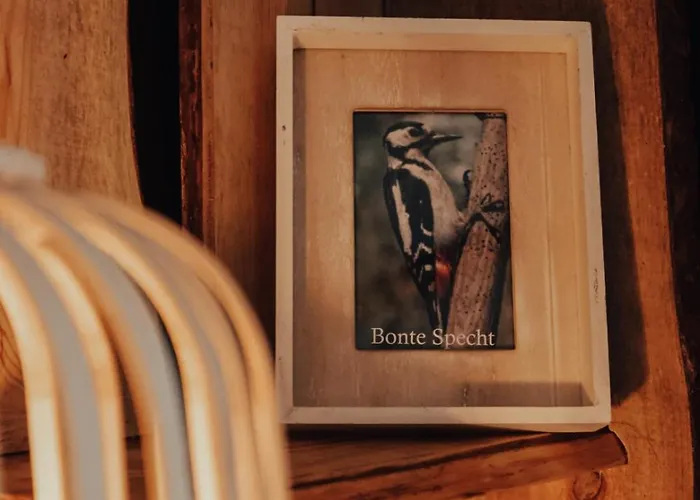 Hoeve Twente - De Bonte Specht Domek alpejski